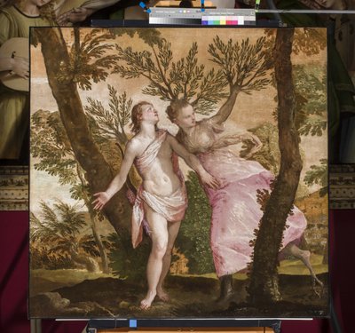 Apollo and Daphne, c.1560-65 by Paolo Veronese